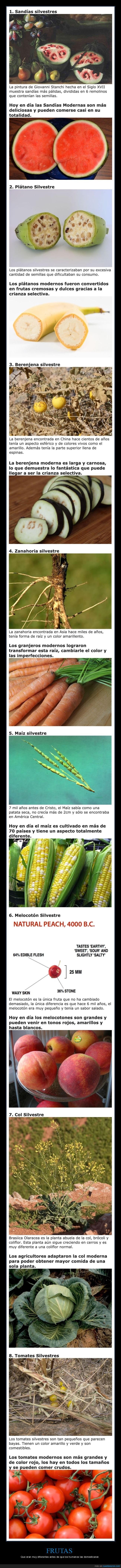 frutas,diferentes,curiosidades