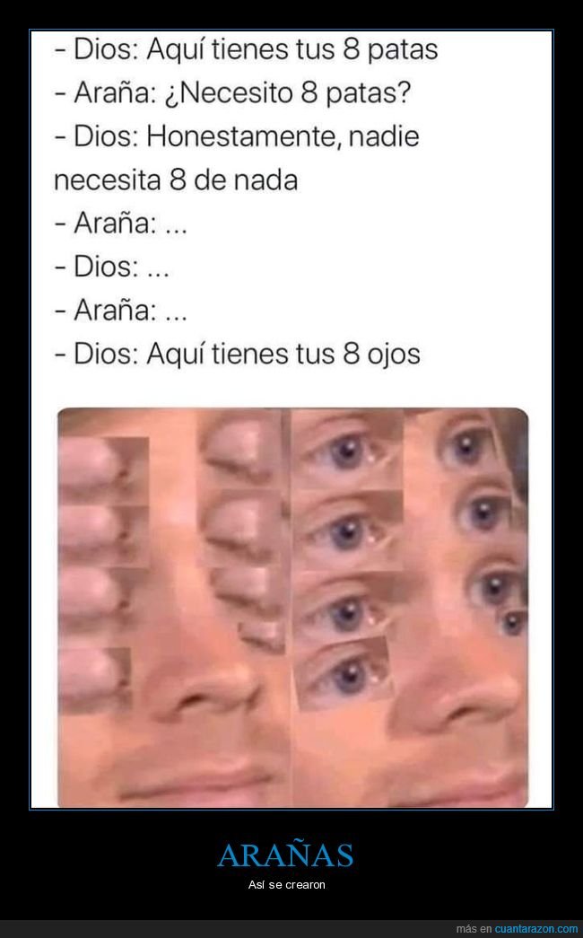 ocho,patas,ojos,araña,dios