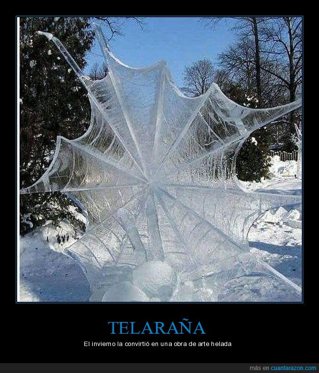 telaraña,hielo,wtf