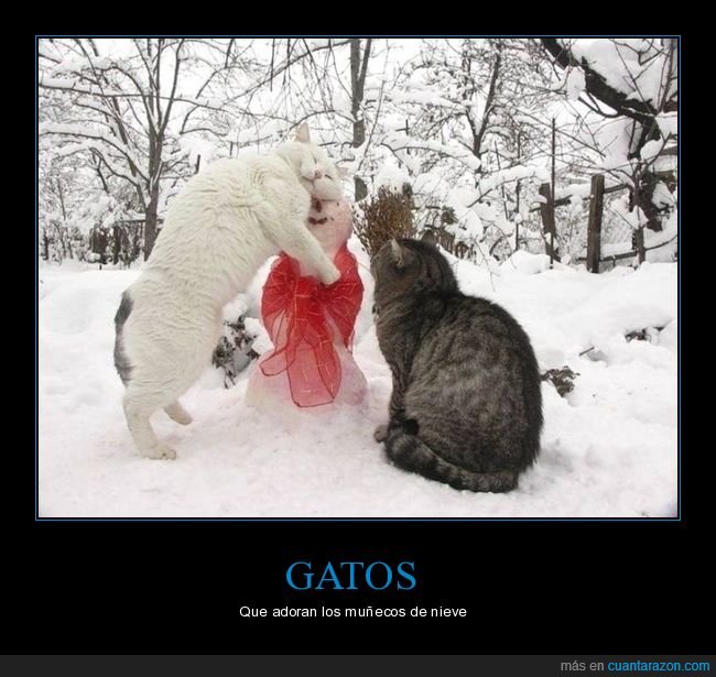 gatos,muñeco de nieve