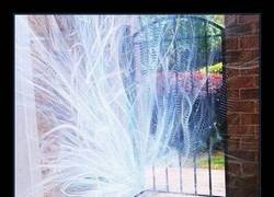 Enlace a El curioso patrón formado por el humo