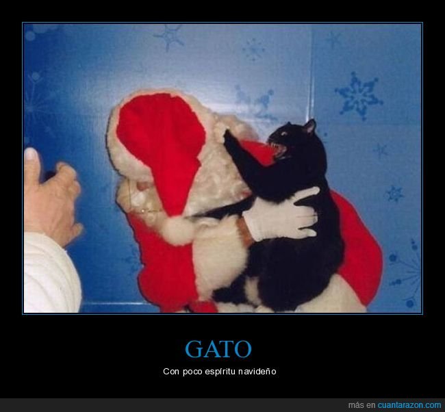 gato,papá noel,atacando