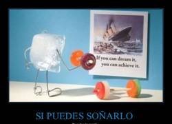 Enlace a Persigue tus sueños