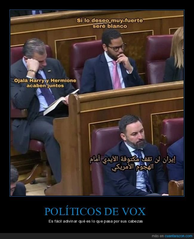 vox,pol&iacute;ticos