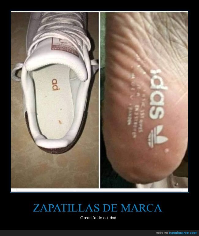 zapatilla,adidas,marca,fails