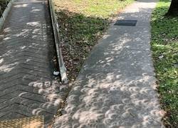 Enlace a Curioso efecto