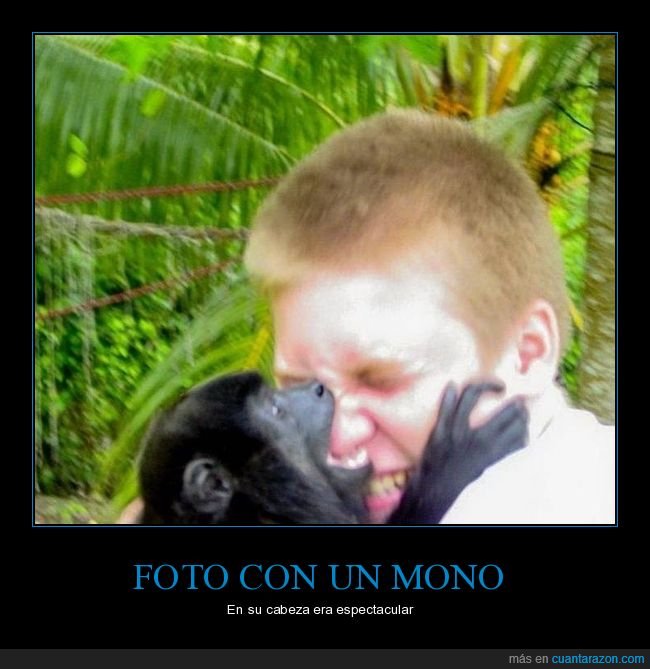 foto,mono,mordiendo,nariz,fails