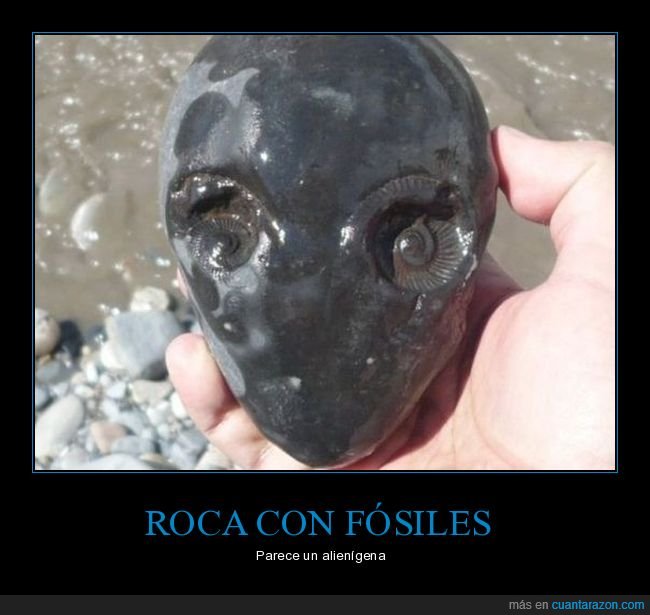 roca,fósiles,alienígena