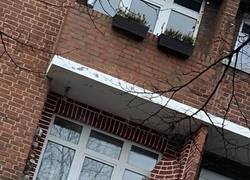 Enlace a En armonía con el entorno