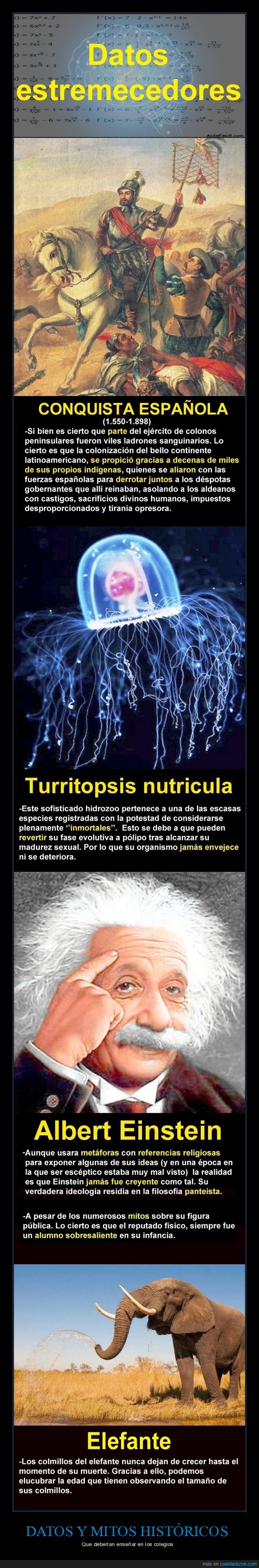 datos,historia,hechos,mitos,curiosidades