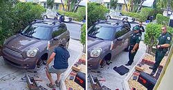 Enlace a Policías se presentan en casa de este hombre porque su loro gritaba “¡Déjame salir!” y sonaba como una mujer