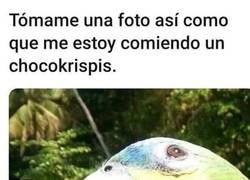 Enlace a Jugando con la perspectiva