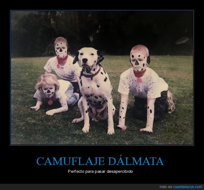 perro,dálmata,maquillaje,wtf
