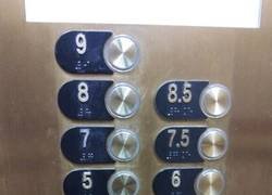 Enlace a Plantas intermedias