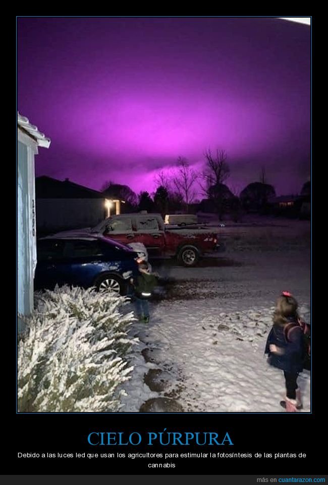 cielo,púrpura,led,agricultores,plantas