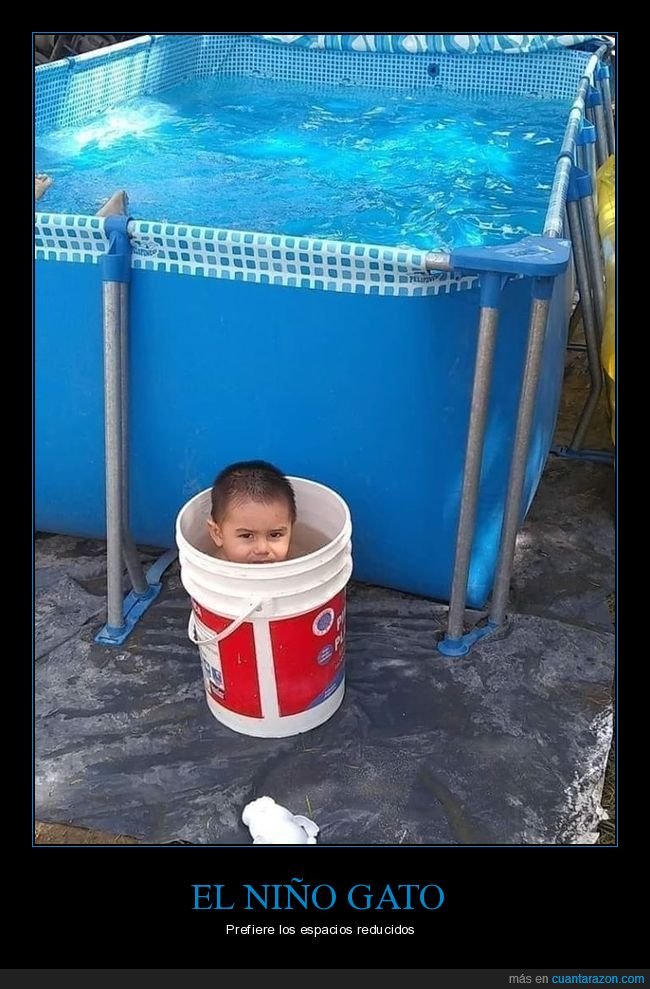 niño,piscina,cubo,wtf