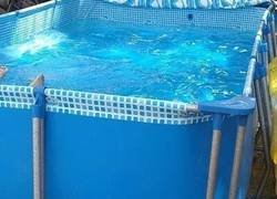 Enlace a Él en su cubo es feliz