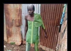 Enlace a En armonía con la naturaleza