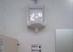 Enlace a Escoge sabiamente