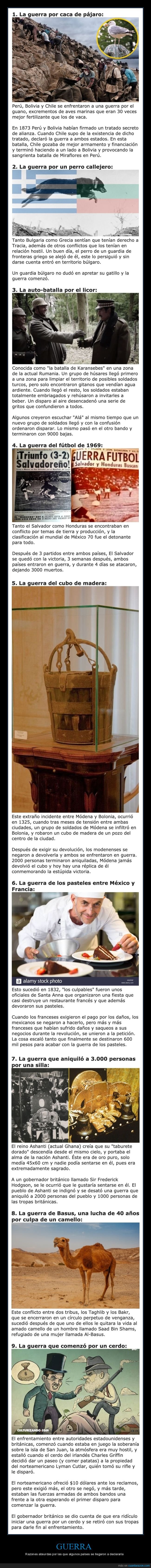 guerra,razones,absurdas