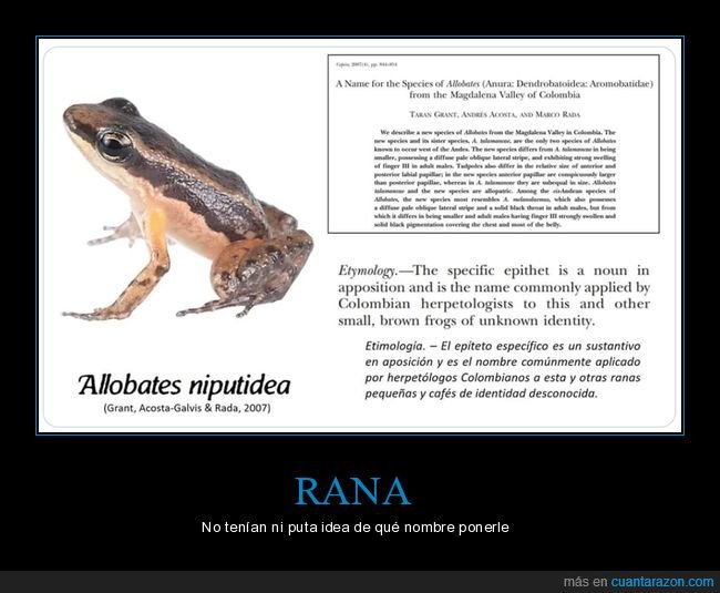 rana,nombre,niputidea