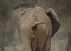 Enlace a Empezando bien el día