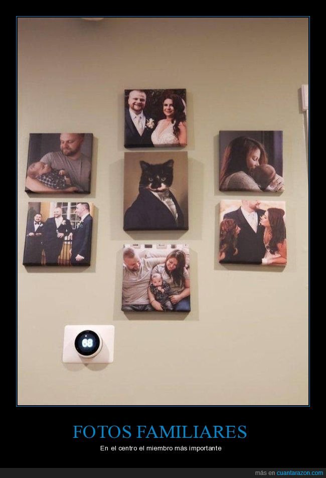 fotos familiares,familia,gato,centro