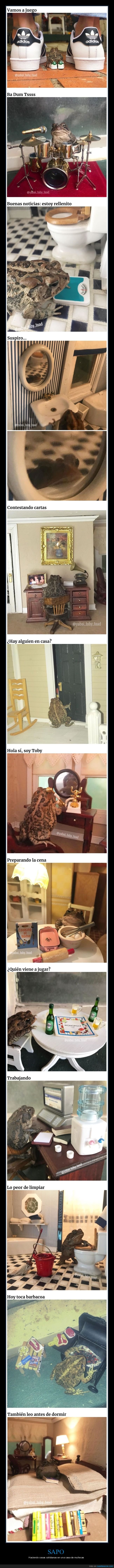 sapo,cosas cotidianas,casa de muñecas