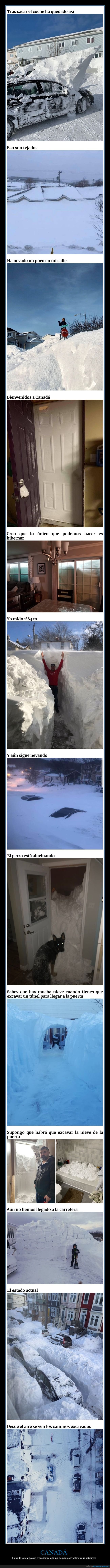 canadá,ventisca,nieve