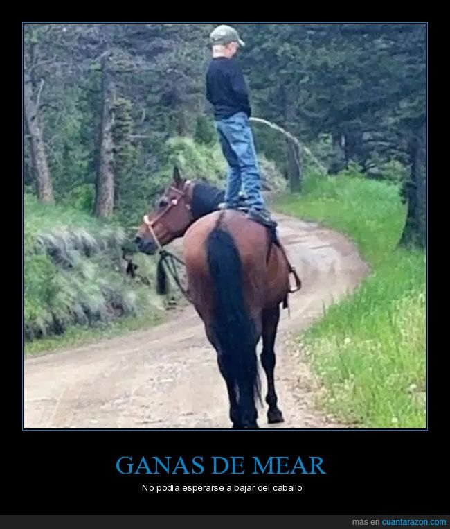 niño,meando,caballo,wtf