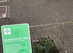 Enlace a Mini parque