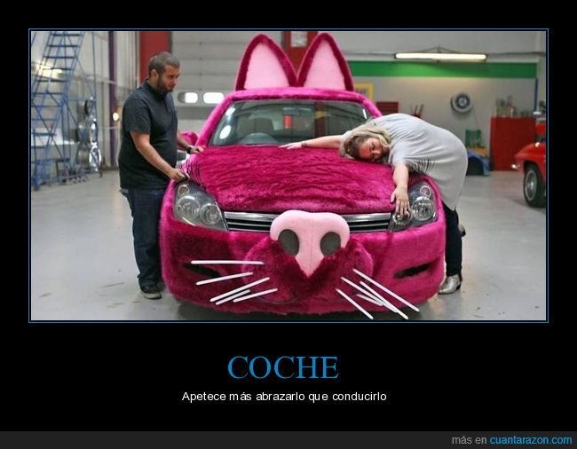 coche,peluche,abrazar,conducir