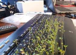 Enlace a Hay que limpiar los teclados más a menudo