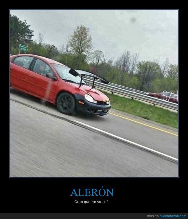 aler&oacute;n,coche,cap&oacute;,wtf