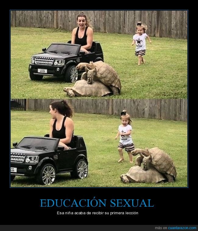 tortugas,copulando,madre,hija