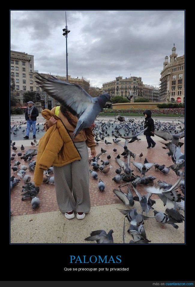 paloma,momento exacto,foto,cara,privacidad