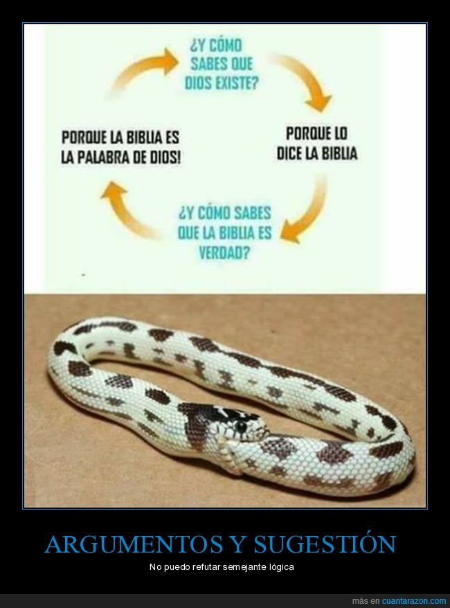 argumento,biblia,religión,dios