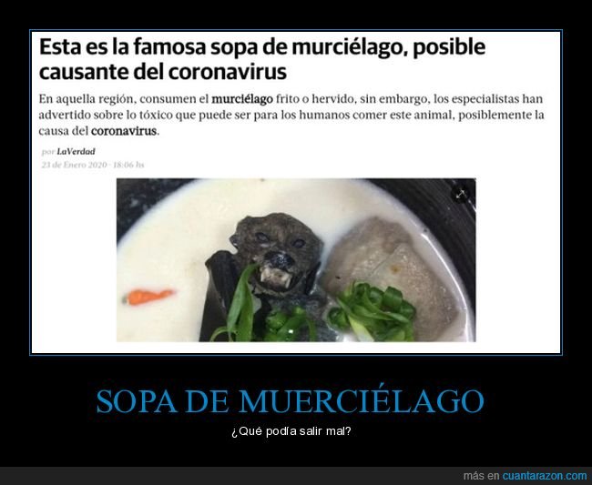 sopa,murciélago,coronavirus