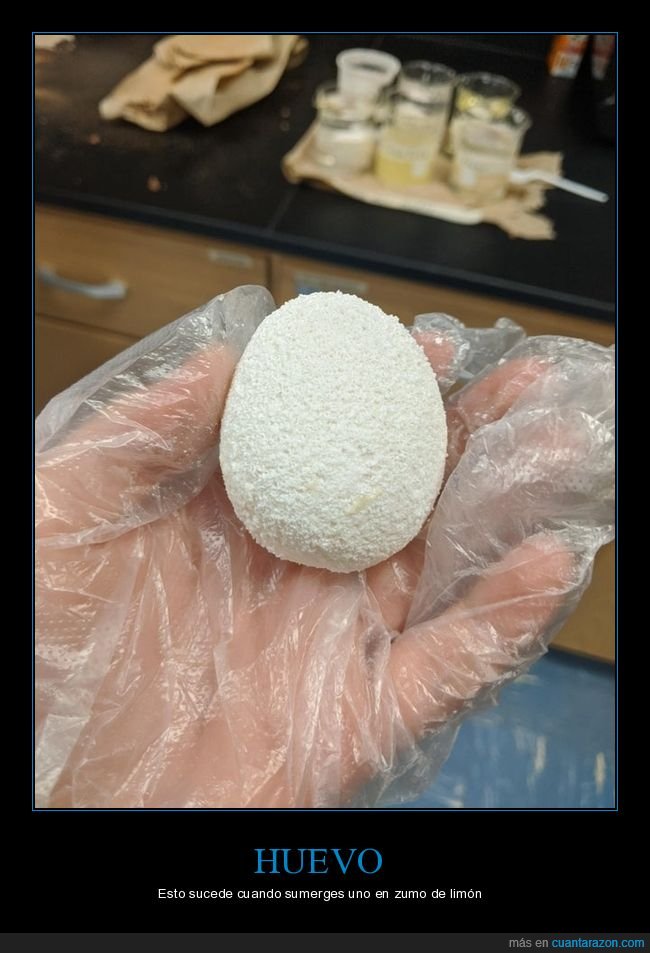 huevo,zumo de limón,curiosidades