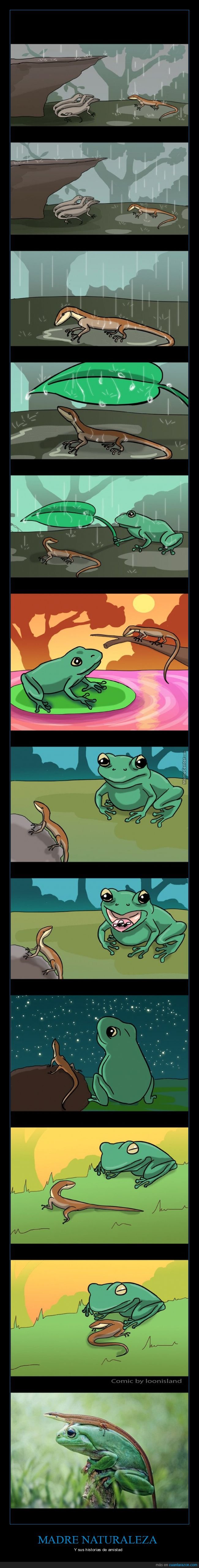 amistad,rana,lagartija,historia,foto,viñetas