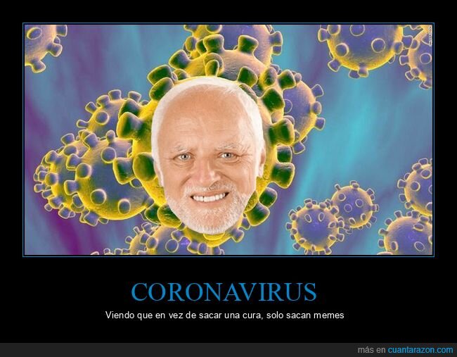 harold,coronavirus,memes,vacuna
