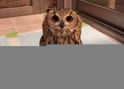 Enlace a Nunca me lo había imaginado y me acaba de explotar la cabeza