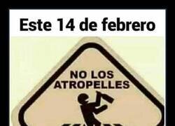 Enlace a No los atropelles, piensa en ellos