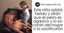 Enlace a La gente está harta de que padres permitan a los niños maltratar a las mascotas, y explican lo estúpido y peligroso que es