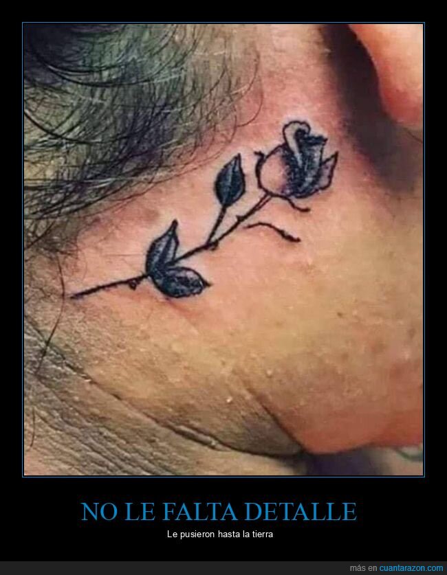 tatuaje,flor,rosa,tierra,wtf