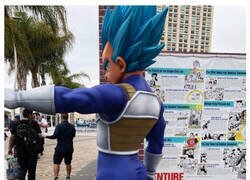Enlace a A Bulma le gusta esto