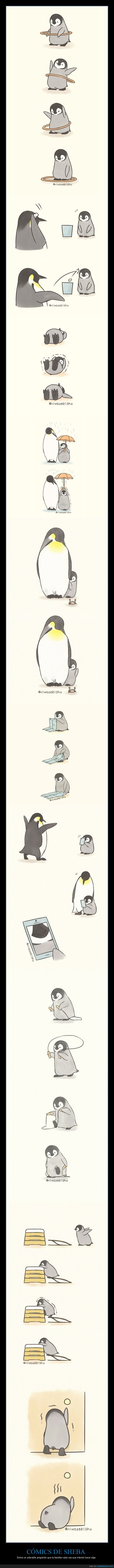 sheba,pingüino,cómics