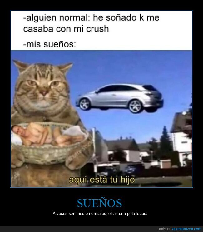 sueños,casarse,wtf