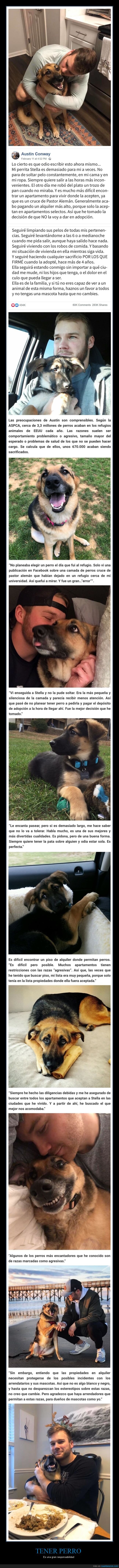 perros,responsabilidad