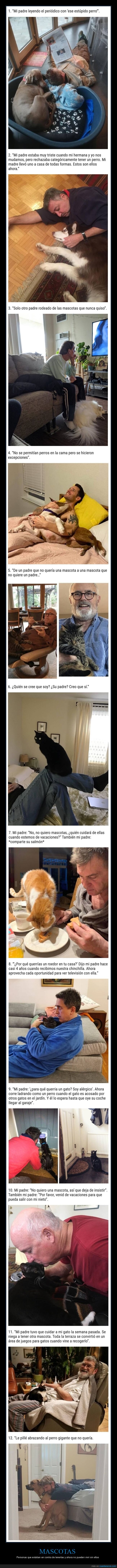 mascotas,en contra,querer